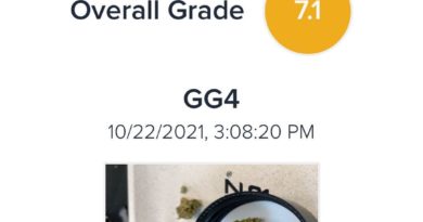 gg4 by sunnabis strain review by justin_the_ganjier