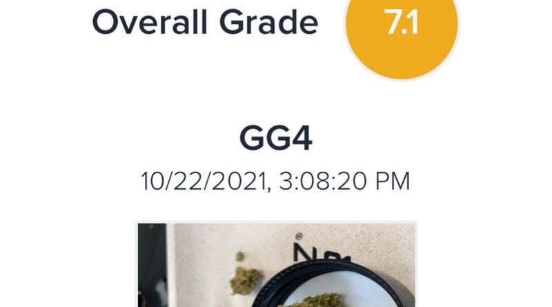 gg4 by sunnabis strain review by justin_the_ganjier