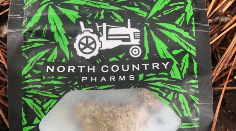 jealousy f3 by north country pharms strain review by caleb chen