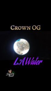 l.a. water by crown og strain review by stoneybearreviews 2