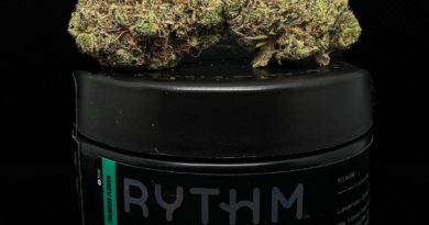 lavender gelato by rythm strain review by illinois_cannabis_reviews