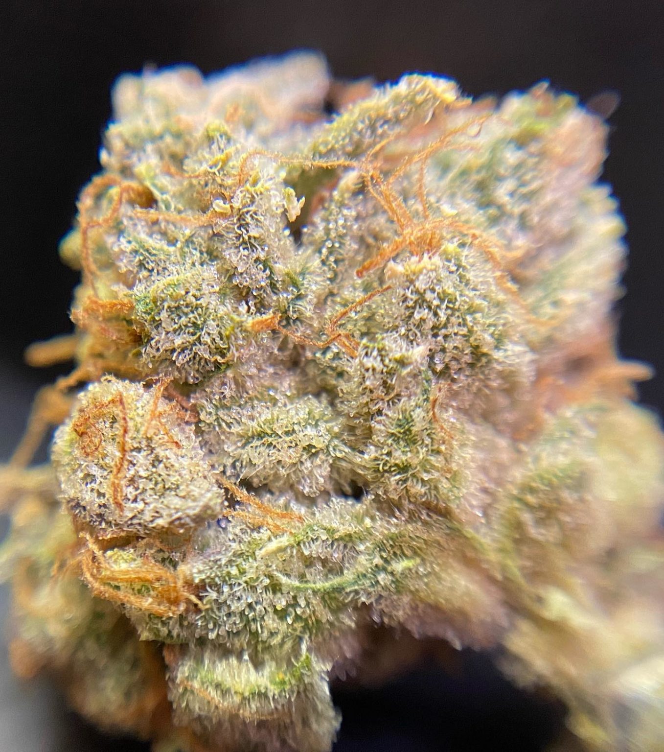Whaletail Scrollermackinaw Peaches Strain - 56hw6sj