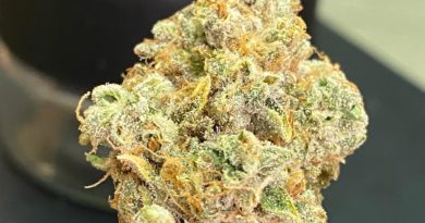 peaches and creme strain review by cali_bud_reviews