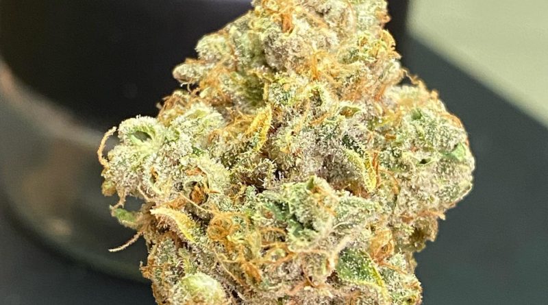 peaches and creme strain review by cali_bud_reviews