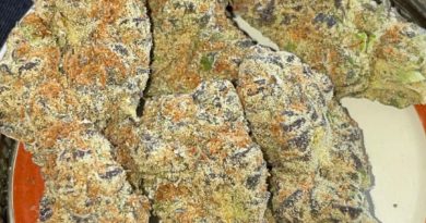 peanut butter breath by halcyon farms cultivar review by toptierterpsma