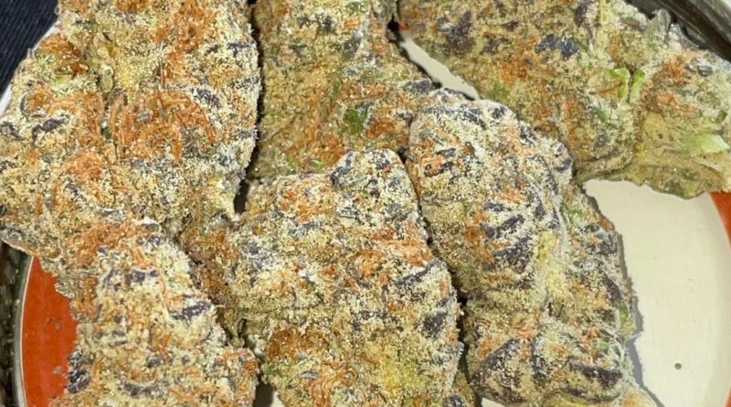 peanut butter breath by halcyon farms cultivar review by toptierterpsma