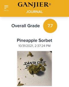 pineapple sorbet by the bohemian chemist strain review by justin_the_ganjier 2
