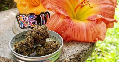rs11 by logan local strain review by theweedadvocate