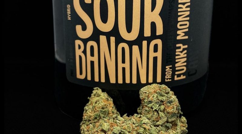 sour banana from funky monkey strain review by illinois_cannabis_reviews