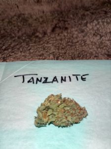 tanzanite by grandma grows