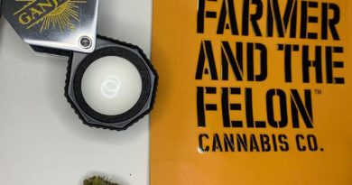the chauffer by farmer and the felon strain review by justin_the_ganjier 2