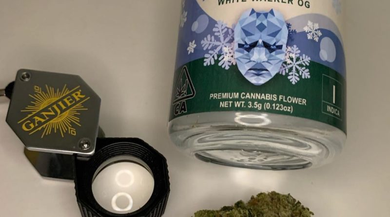 white walker og by cannabiotix strain review by justin_the_ganjier 2