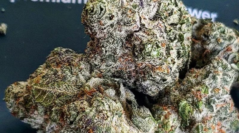 wilson zero by matter. strain review by theweedadvocate