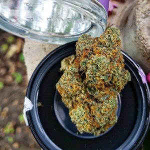 yeti breath by revolution cannabis strain review by theweedadvocate