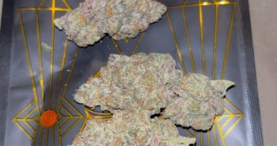 apple fritter by higher growth gardens strain review by pressurereviews