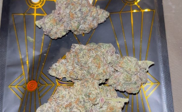 apple fritter by higher growth gardens strain review by pressurereviews