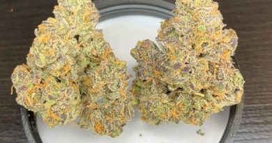 apple fritter by kratos strain review by pnw_chronic 2