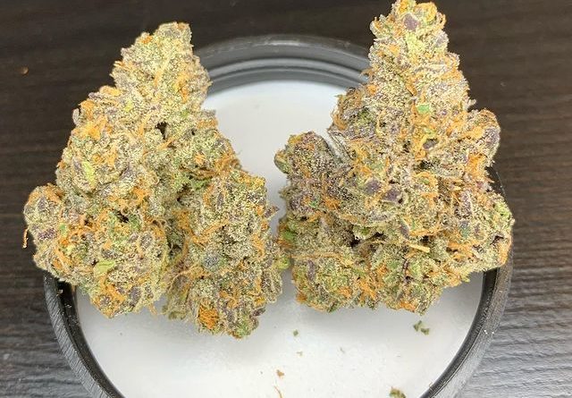 apple fritter by kratos strain review by pnw_chronic 2