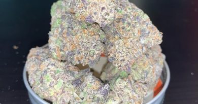 artificial sour by trichome farms strain review by pnw_chronic 2