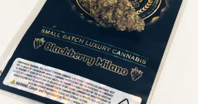 blackberry milano by fog valley exotics strain review by dopamine