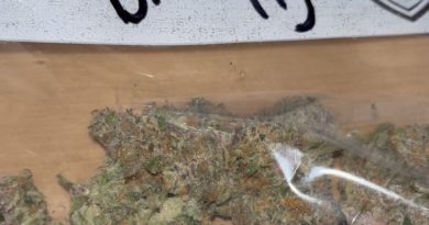 blockberry by higher growth gardens strain review by pressurereviews