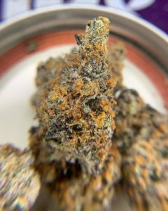 blue 16 by high noon cultivation strain review by pnw_chronic 2