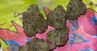 bolo runtz by lifeisnotgrape strain review by pressurereviews