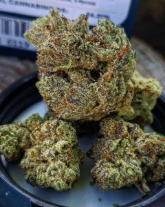 fig farms blue face vs figment strain review by theweedadvocate 3