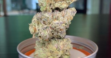 fried ice cream by evans creek farms strain review by pnw_chronic 2