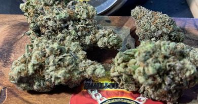 frozen grapes by small boutique farms strain review by weedxwagyufrozen grapes by small boutique farms strain review by weedxwagyu