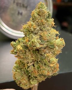 fuzzy melon rd by team elite genetics strain review by cali_bud_reviews