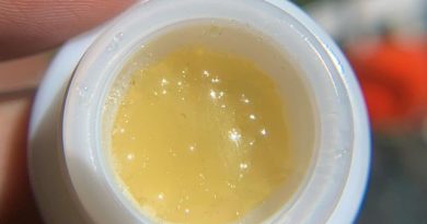gak smoovie #5 hash rosin by 710 labs dab review by pnw_chronic 2