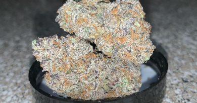 garlissimo by kratos strain review by pnw_chronic 2
