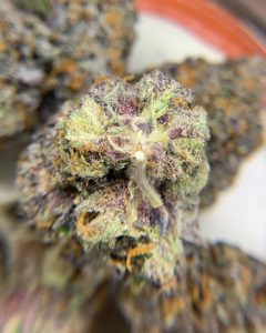 gelato 41 by trichome farms strain review by pnw_chronic 2