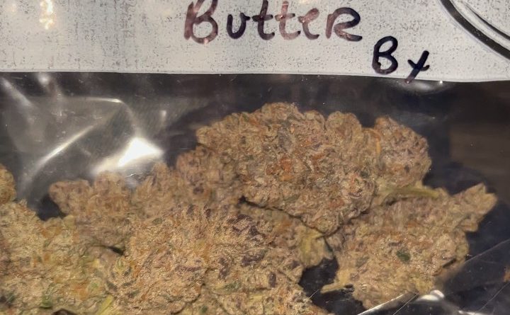 gorilla butter bx by higher growth gardens strain review by pressurereviews