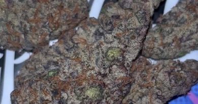 gorilla butter by watt you puffin strain review by pressurereviews