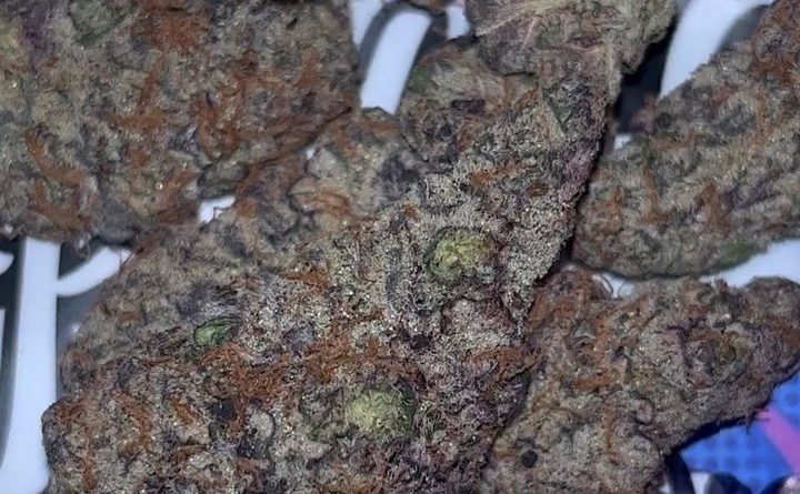 gorilla butter by watt you puffin strain review by pressurereviews