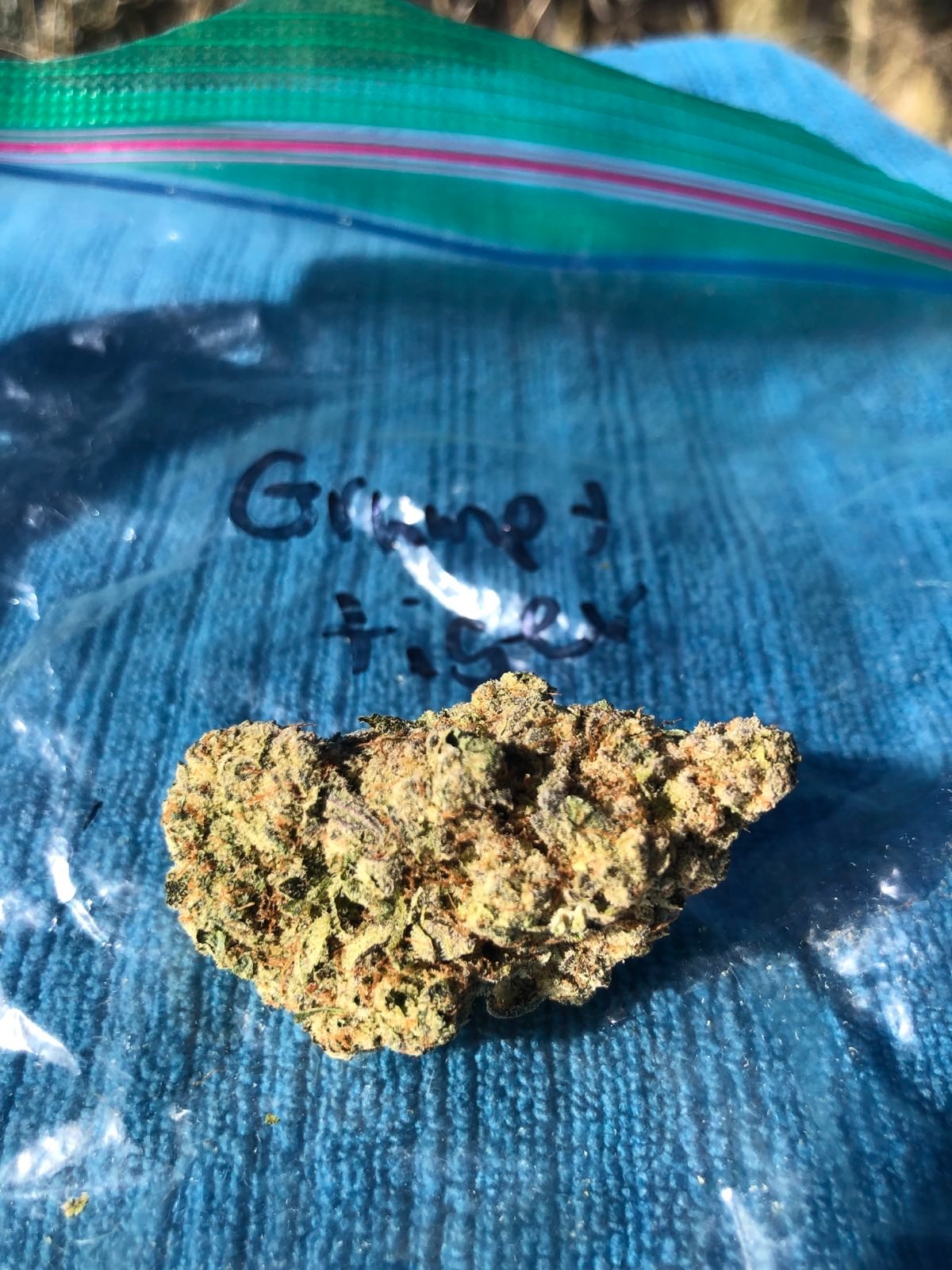 grumpy tiger by wood wide farms strain review by caleb chen