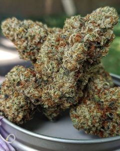 hyper fuel by grady brown's garden strain review by theweedadvocate 2