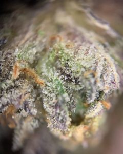 icicles by state 3 strain review by pnw_chronic 2