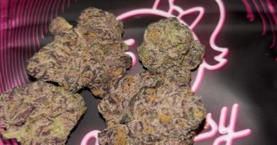 jealousy by seven leaves strain review by pressurereviews