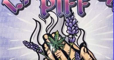 lavender piff by piffanomics x piff coast farms strain review by letmeseewhatusmokin