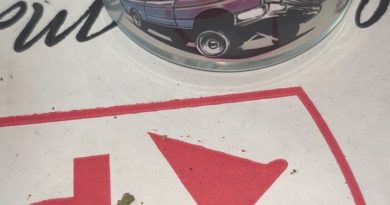low low by turtle pie strain review by pressurereviews
