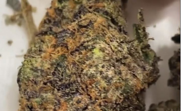 manny candy by handy manny za x shopping carts strain review by dopamine