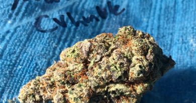 mendo crumble by wood wide farms strain review by caleb chen