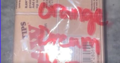 orange dream haze by bobby trill no till strain review by letmeseewhatusmokin