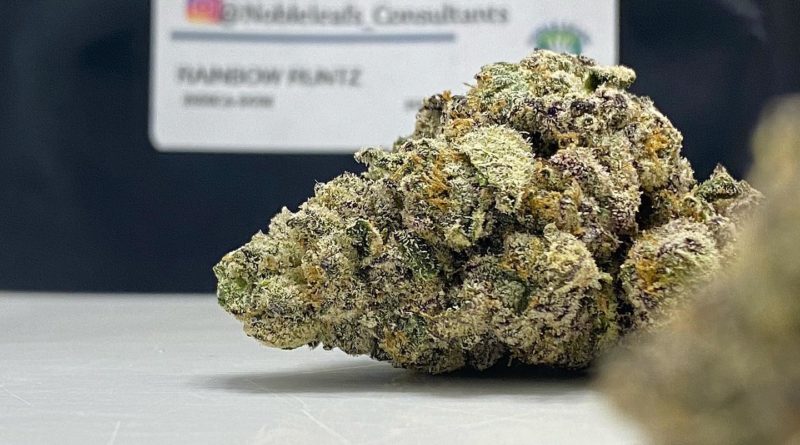 rainbow runtz by noble leafs consultants strain review by dopamine
