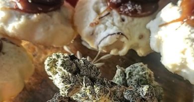shortbread by cresco strain review by theweedadvocate