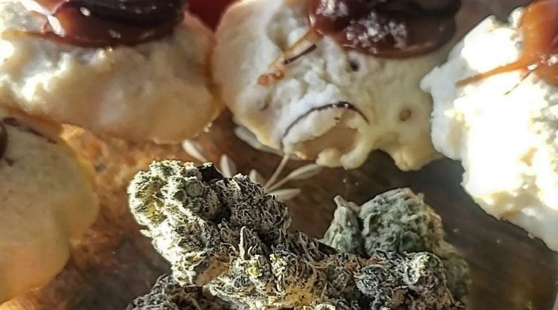 shortbread by cresco strain review by theweedadvocate