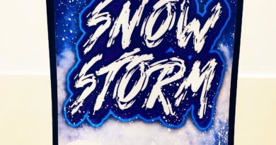 snow storm by northbay gardens x lokeyfarms strain review by dopamine 2